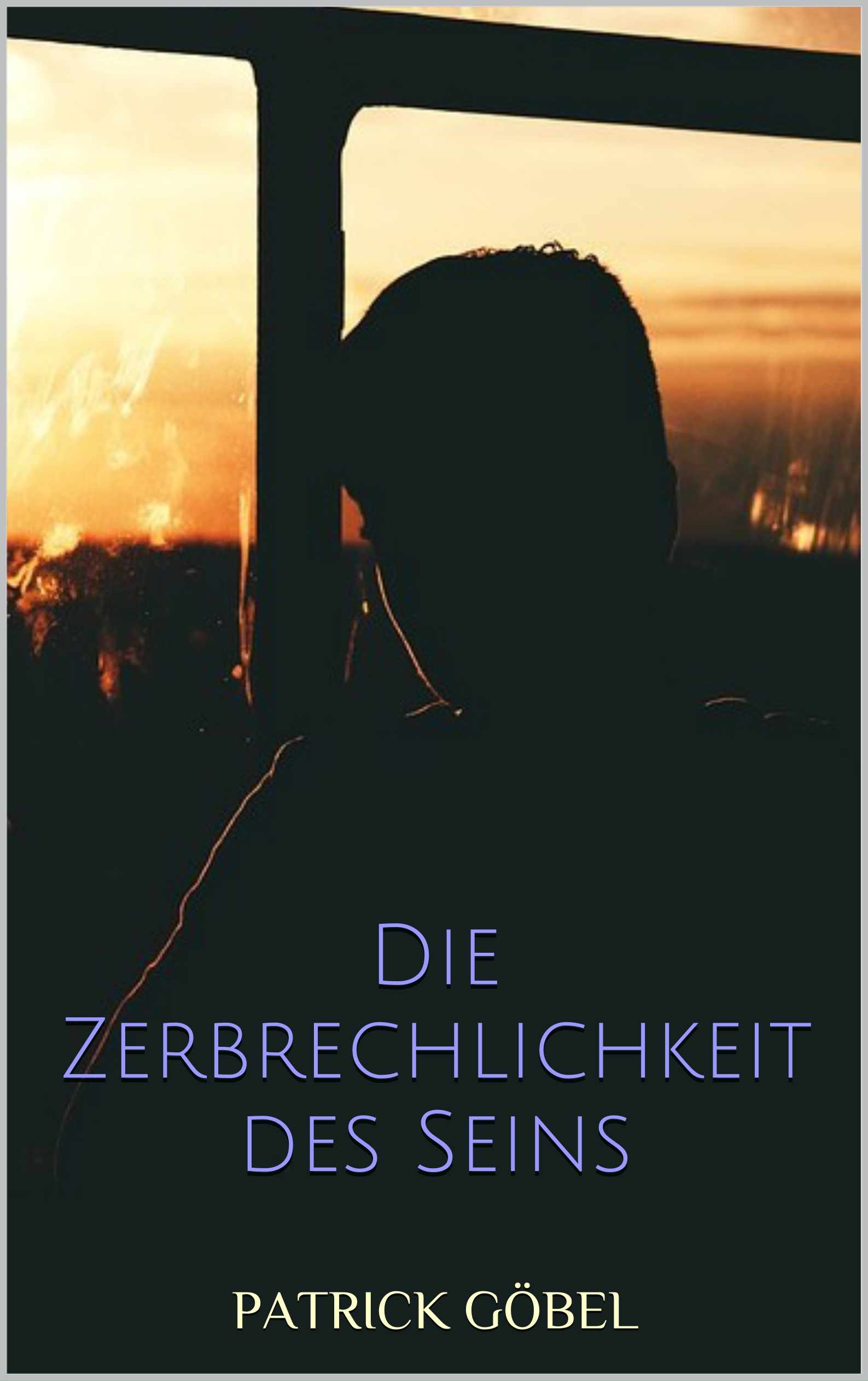 Die Zerbrechlichkeit des Seins - Cover. (Copyright: Patrick Gbel) 